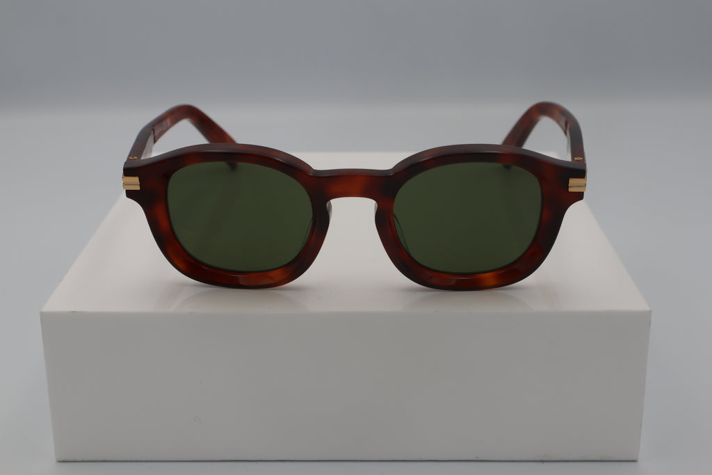 ZEGNA EZ0229