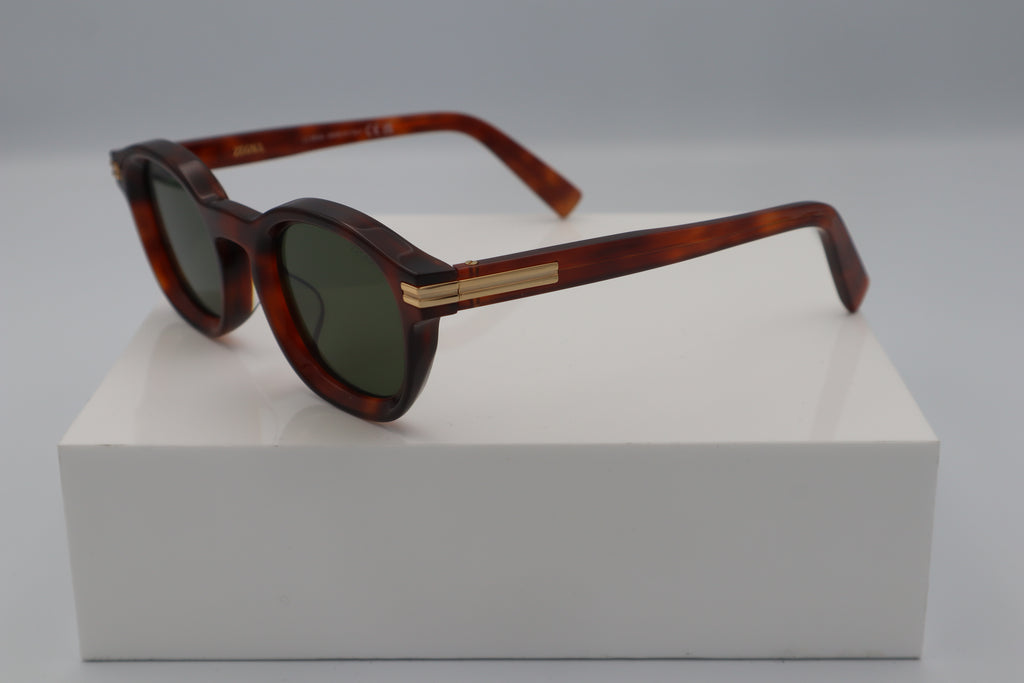 ZEGNA EZ0229