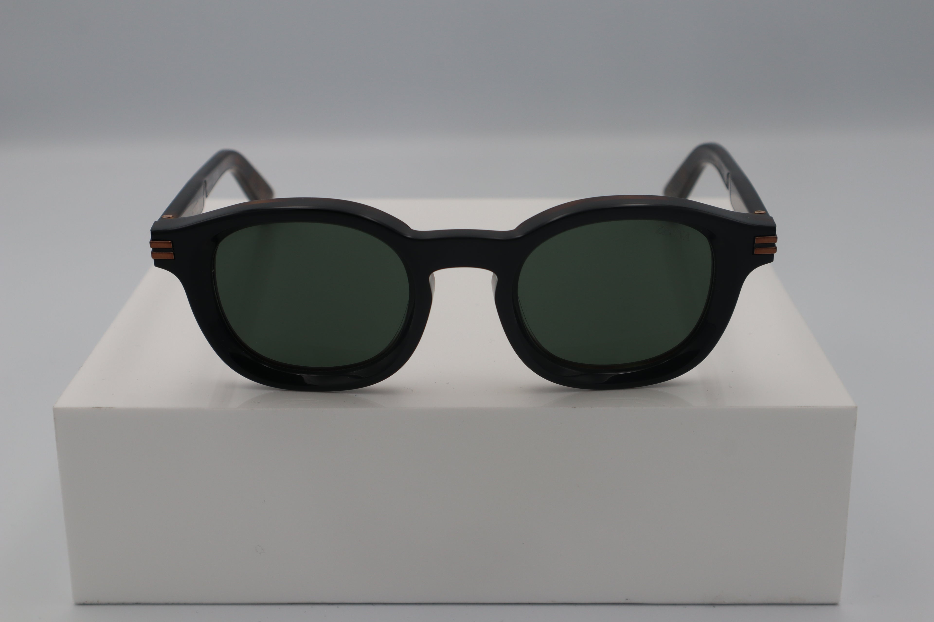 ZEGNA EZ0229