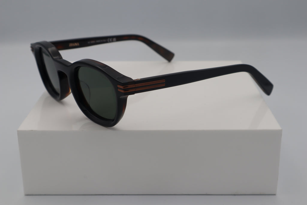 ZEGNA EZ0229
