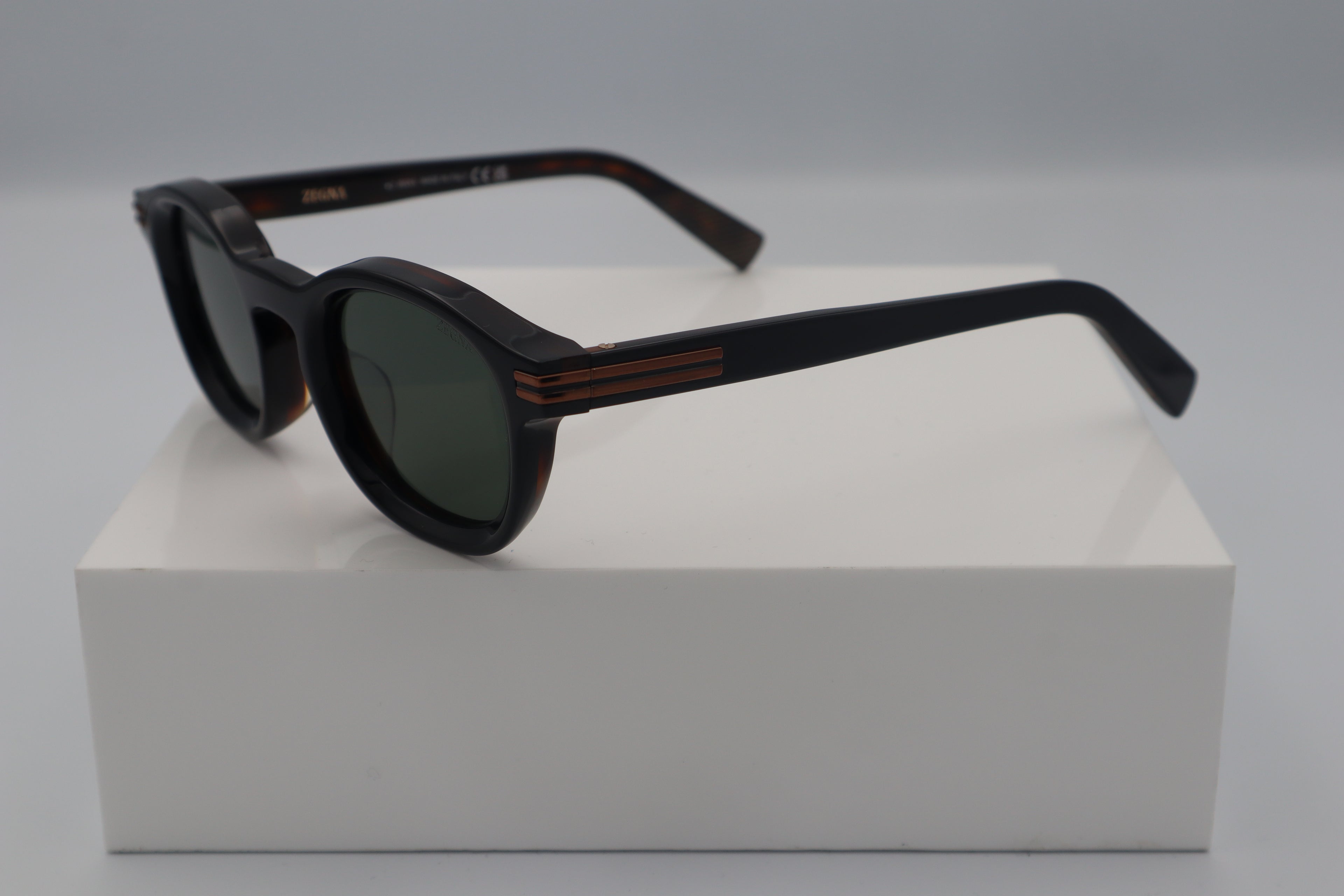 ZEGNA EZ0229