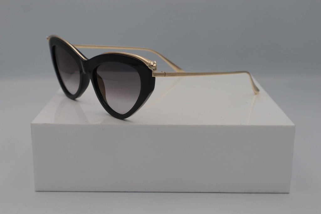 CARTIER CT0596S