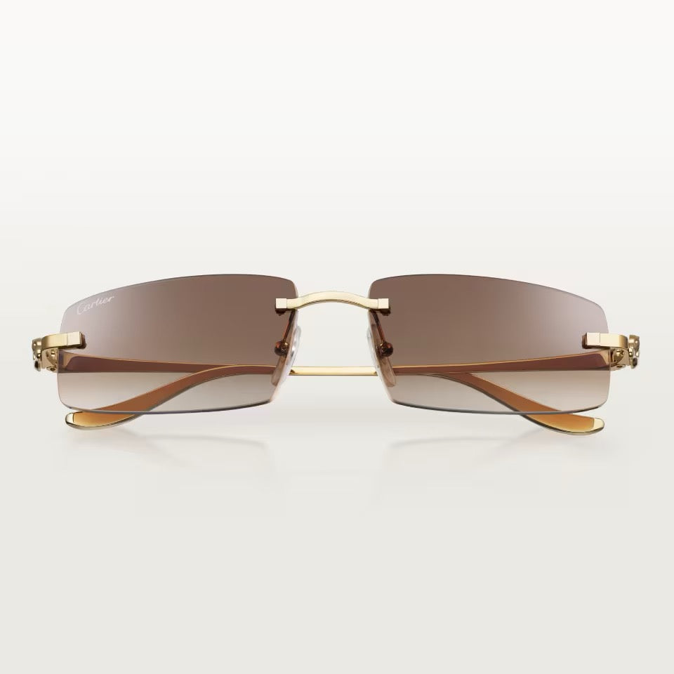 CARTIER CT0505S