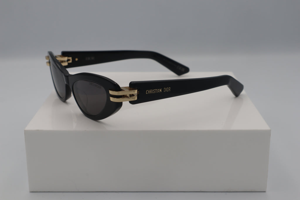 DIOR CDIOR B1U 10A0