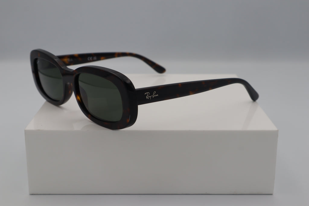 RAYBAN RB2221
