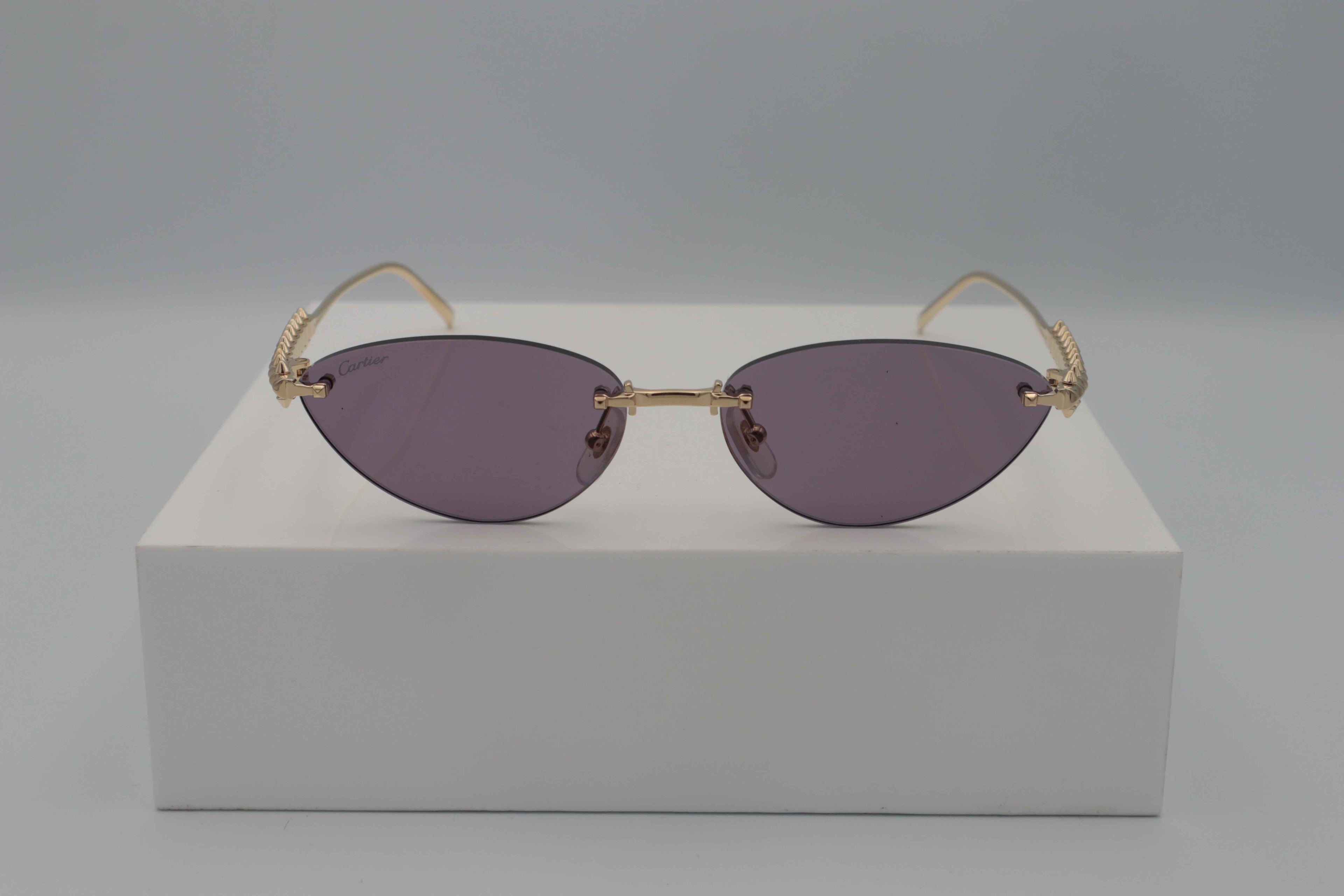 CARTIER CT0543S