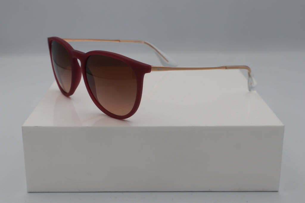 RAYBAN RB4171 ERIKA